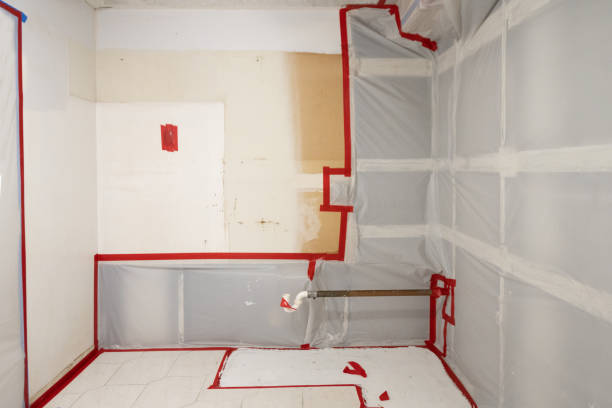 Best Black Mold Removal  in Shields, MI