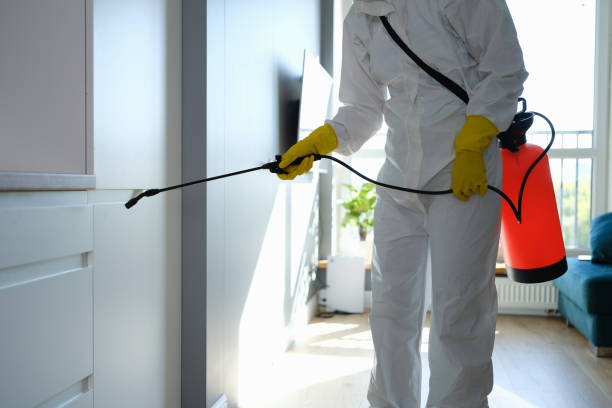 Best Air Quality Testing for Mold Spores  in Shields, MI