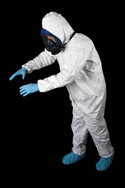 Best Asbestos and Lead Testing During Mold Inspection  in Shields, MI