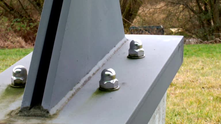 Best Environmental Consulting for Mold Prevention  in Shields, MI